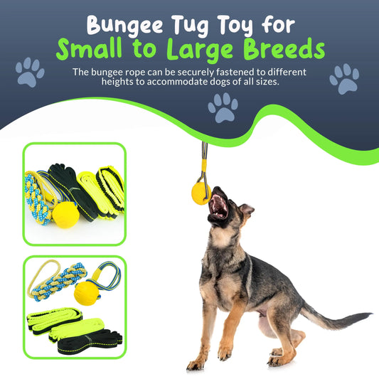 Petite Paws Tree Rope Bungee Tug Toy for Dogs