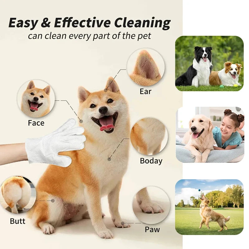 Pet No‑Rinse Glove Wipes for Dogs