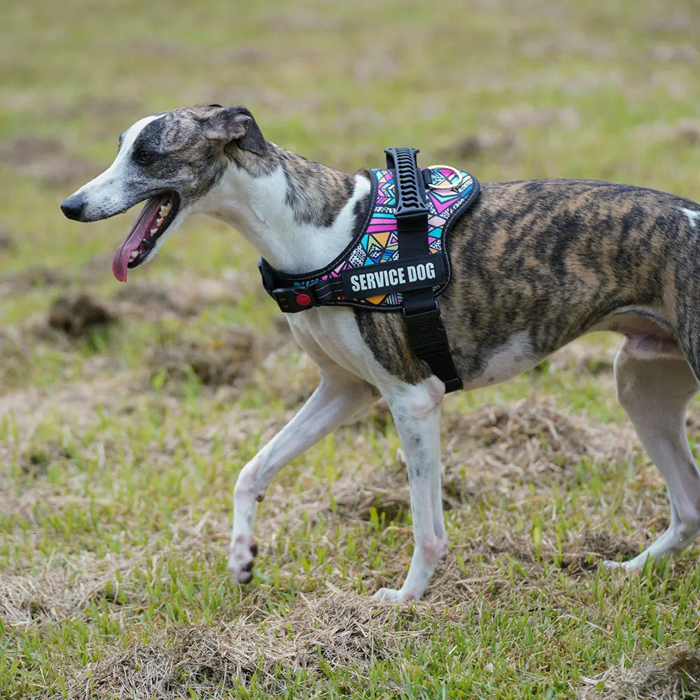 Customizable No Pull Dog Harness Vest - view 5