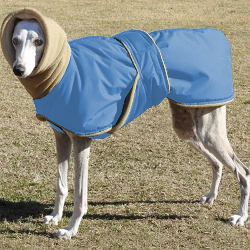 High Collar Down Jacket for Big Dogs