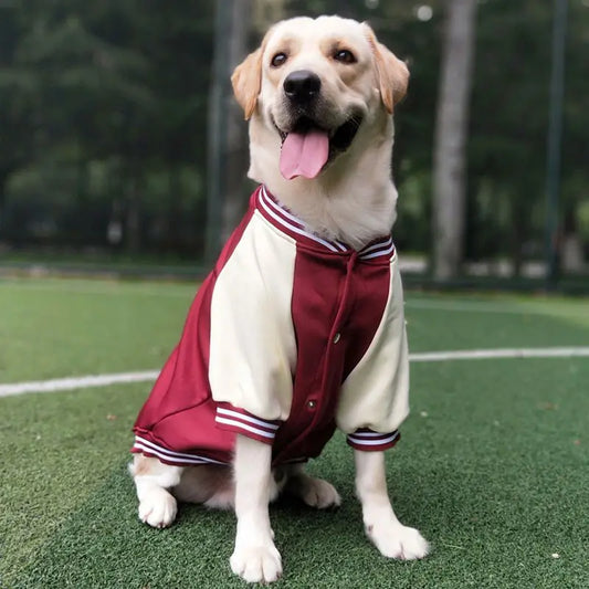 Baseball Jacket for Big Dogs M-7XL - view 2