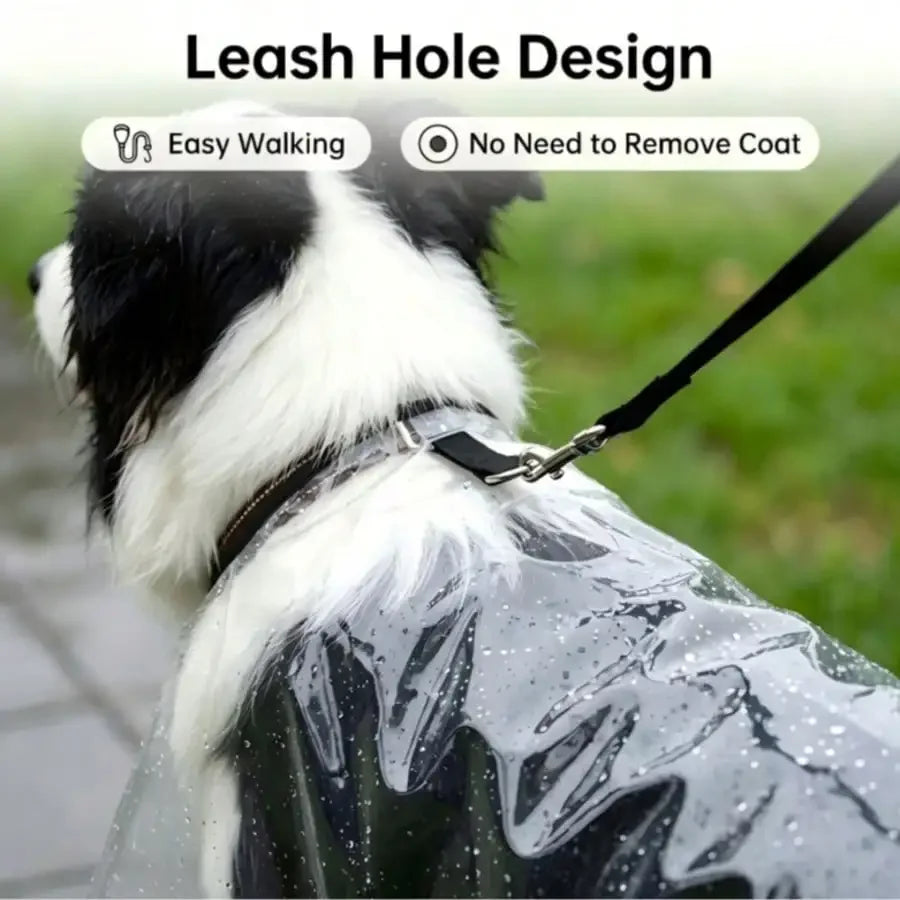 Transparent Dog Raincoat