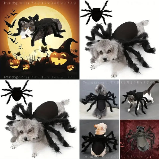 Spider Dog Halloween Costume - view 2
