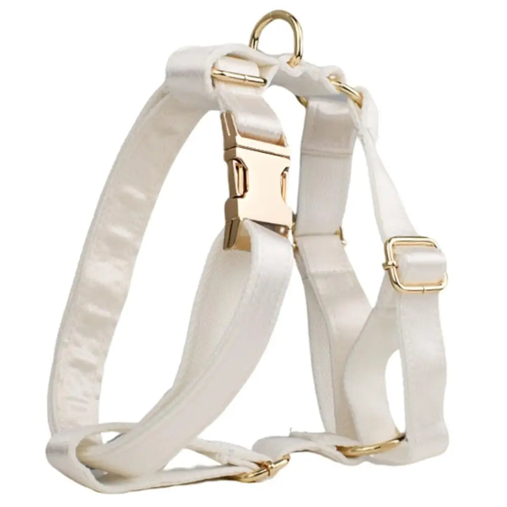 Personalized Dog Collar with Name Tag - view 10
