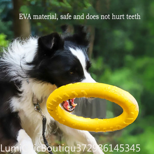 Durable Dog Ring Toy 4-Pack - view 2