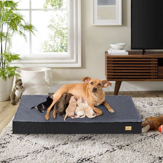 Orthopedic Dog Bed for Large Dogs - view 2