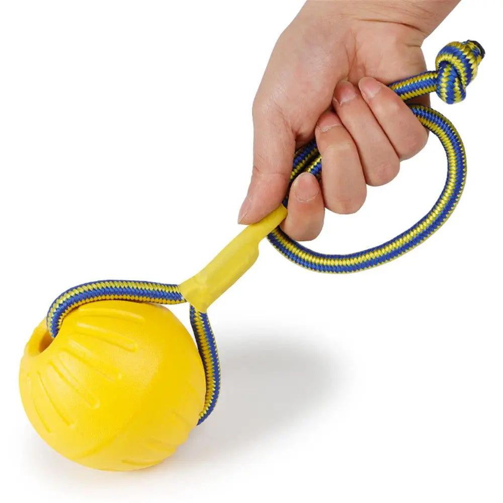 Indestructible Rubber Dog Ball