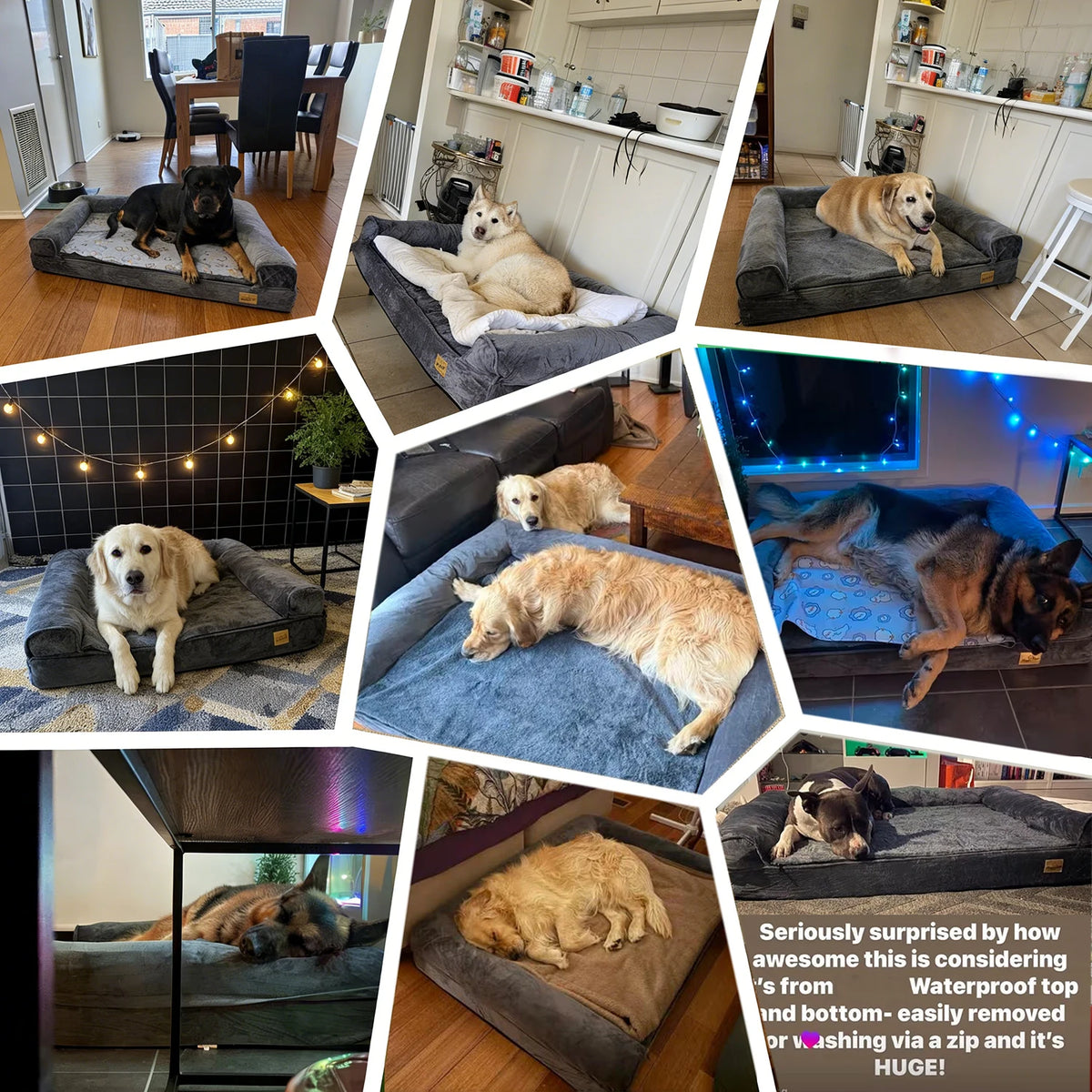 XXL Memory Foam Orthopedic Dog Bed Sofa - view 5