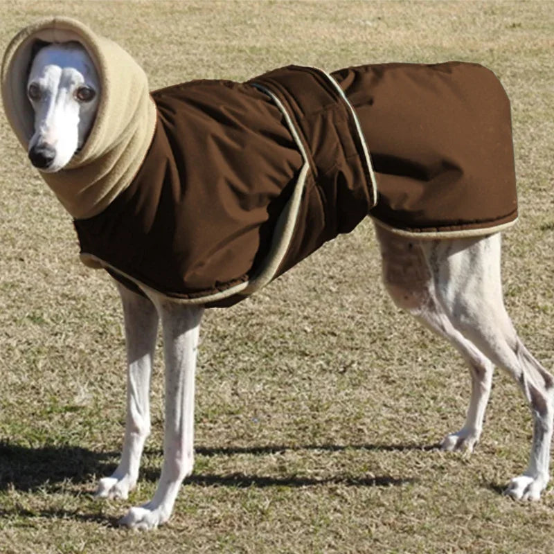 High Collar Down Jacket for Big Dogs - view 4