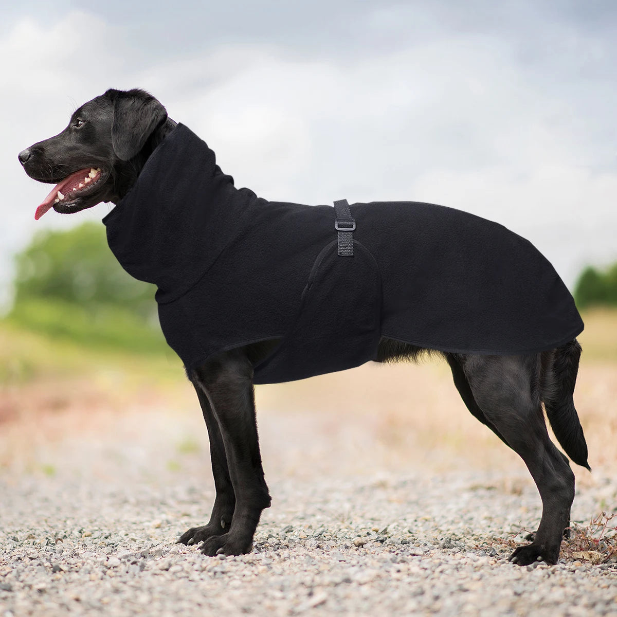 Cozy Winter Coat for Large Dogs