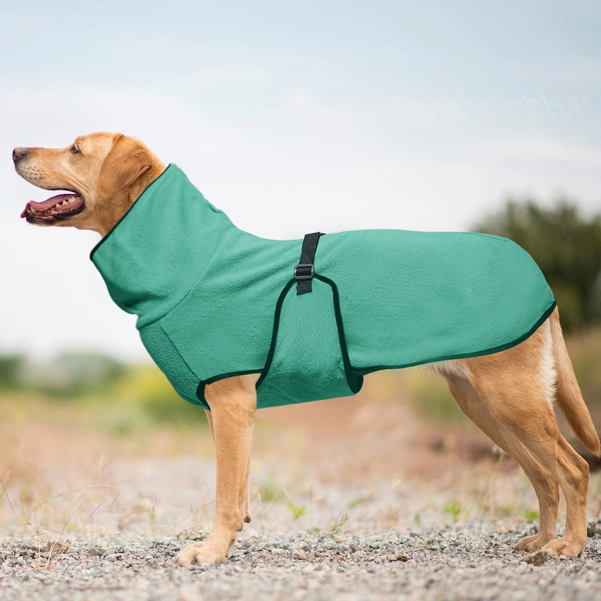 Cozy Winter Coat for Large Dogs - view 6