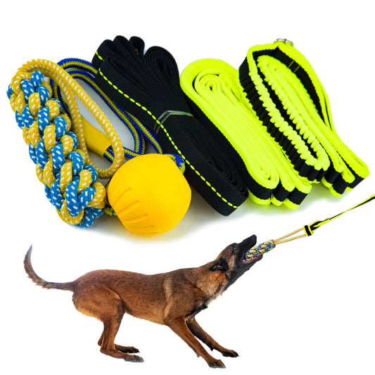 Petite Paws Tree Rope Bungee Tug Toy for Dogs