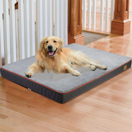 Large Orthopedic Memory Foam Dog Bed - view 2