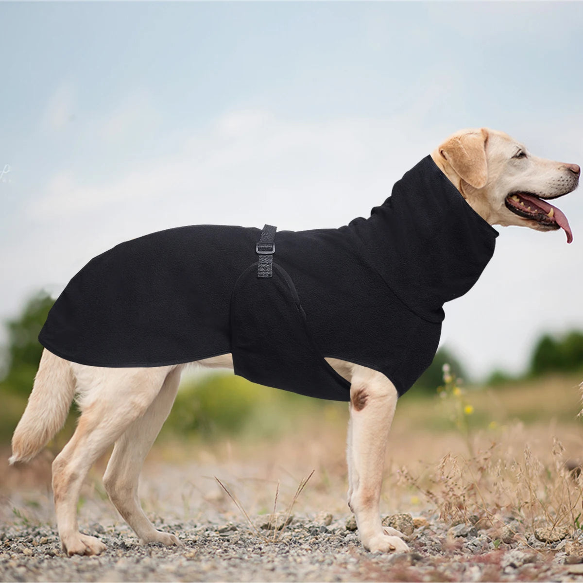 Cozy Winter Coat for Large Dogs - view 3