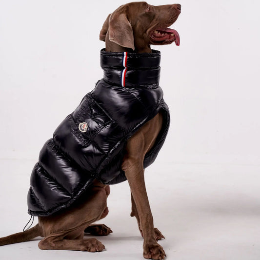 Thick Down Winter Coat for Large Dogs
