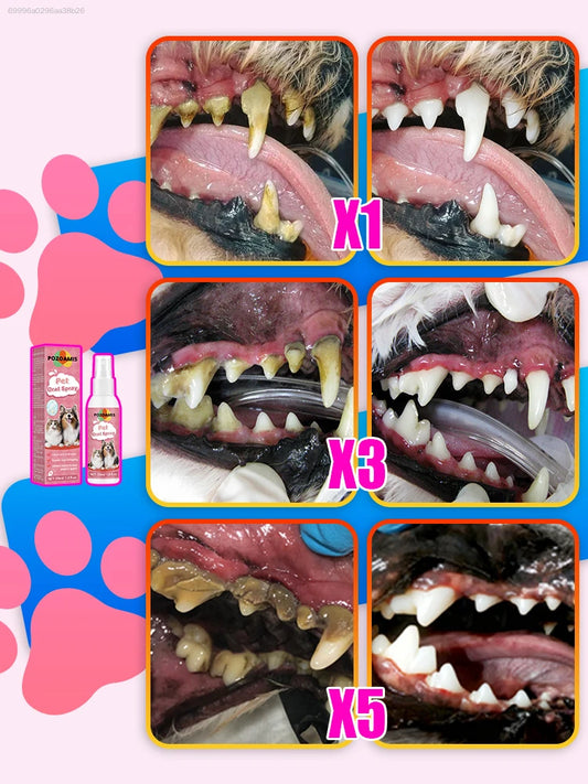 Oral Care Spray for and Dogs – Pet Dental Cleaning Spray