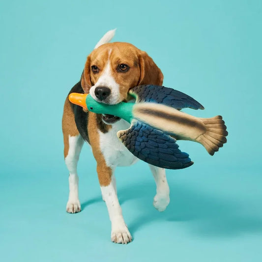 Squeaky Latex Duck Dog Toy