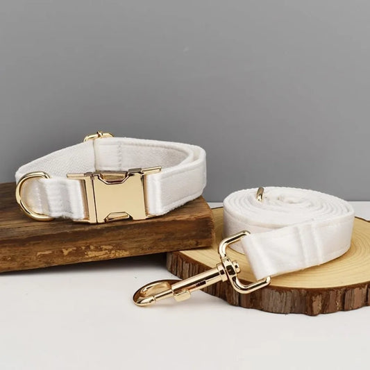 Personalized Dog Collar with Name Tag - view 2