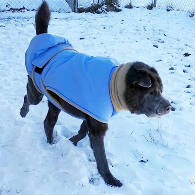 High Collar Down Jacket for Big Dogs - view 3