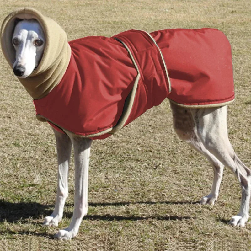 High Collar Down Jacket for Big Dogs - view 5