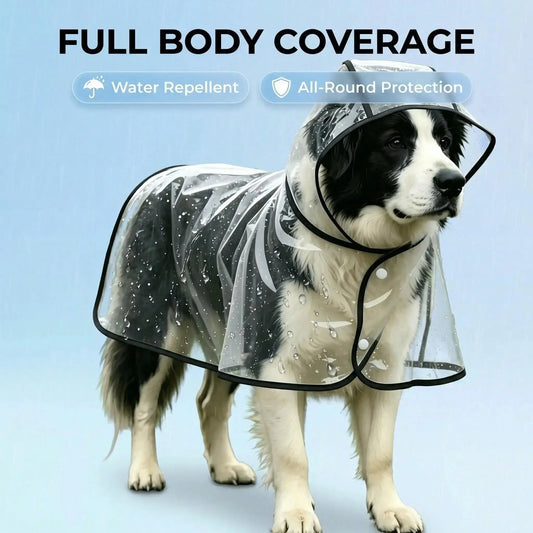 Transparent Dog Raincoat