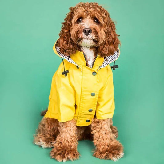 Waterproof Dog Coat Jacket for Large Dogs