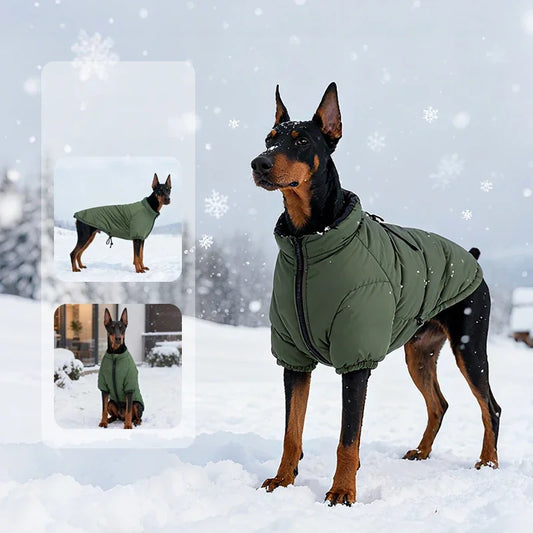 Autumn & Winter Clothes for Large Dogs