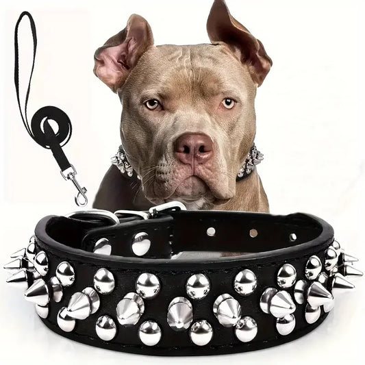 Spiked Dog Collar and Leash Set