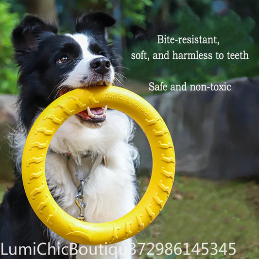 Durable Dog Ring Toy 4-Pack