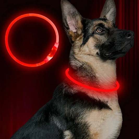 LED Light-Up USB Dog Collar - view 2
