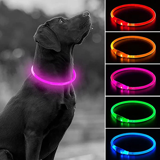 LED Light-Up USB Dog Collar