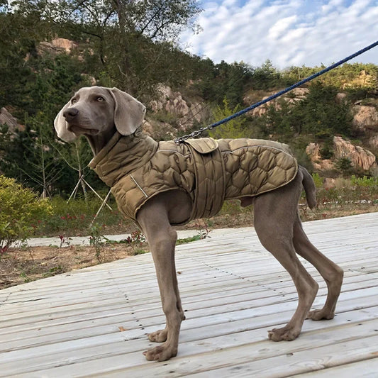 Large Dogs Clothes Winter Coat Adjustable Reflective