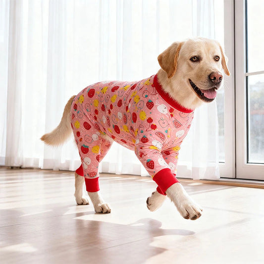 Costume Jumpsuit for Large Dogs