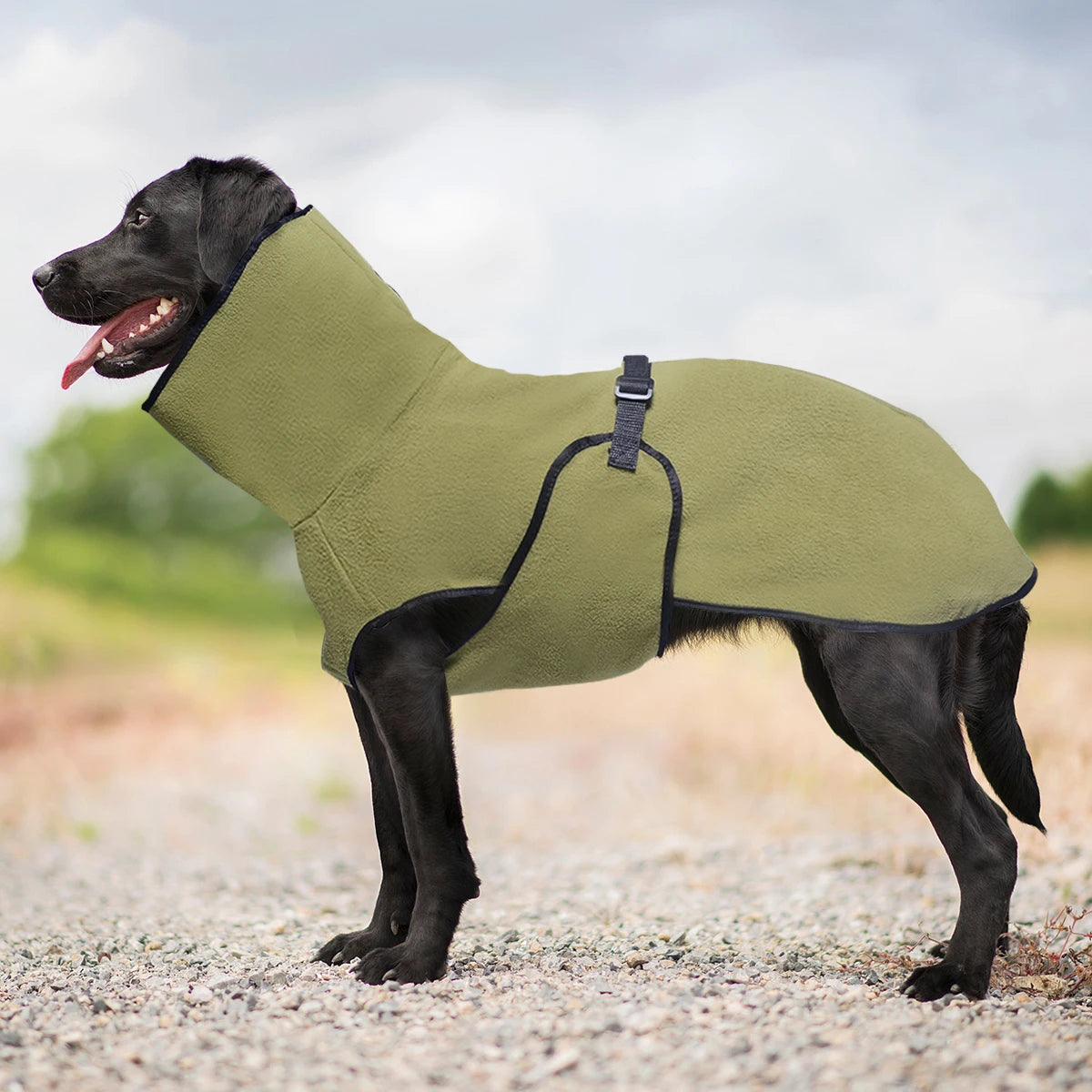 Cozy Winter Coat for Large Dogs - view 5