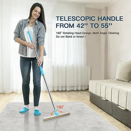 Carpet Rake Pet Hair Remover