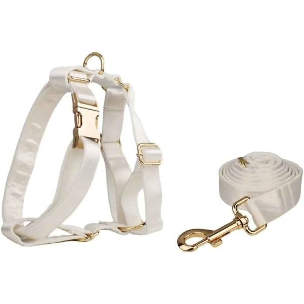 Personalized Dog Collar with Name Tag