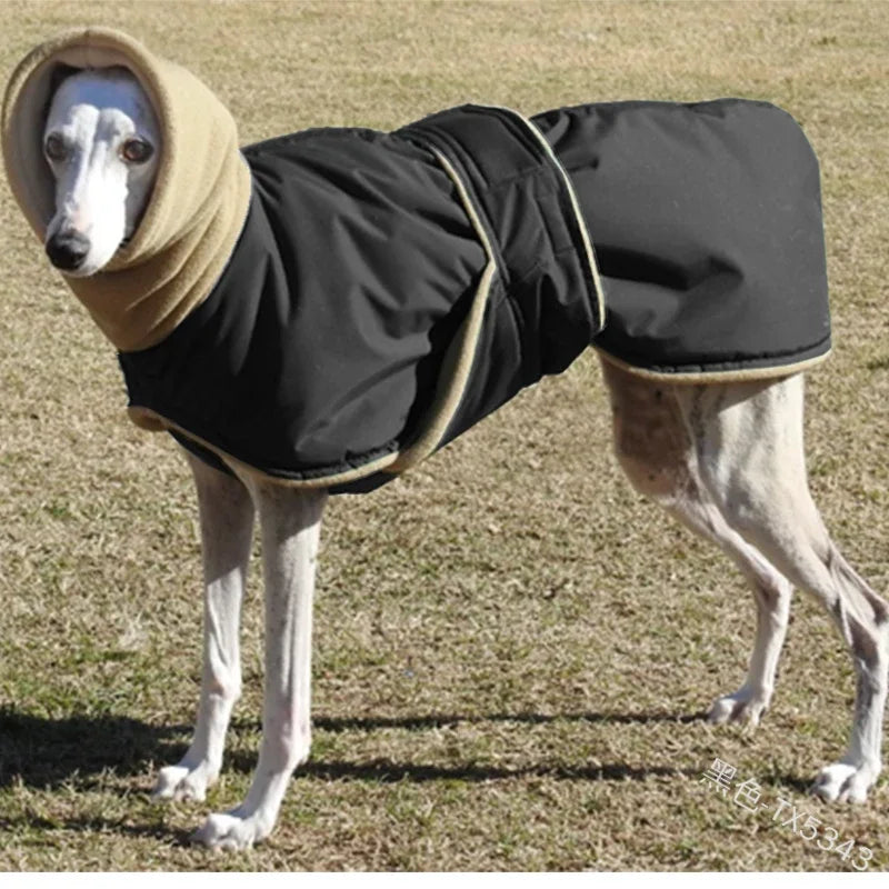 High Collar Down Jacket for Big Dogs - view 6