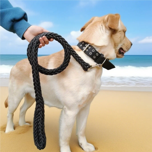 Durable Heavy Duty Outdoor Dog Leash
