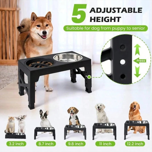 Elevated Dog Bowls