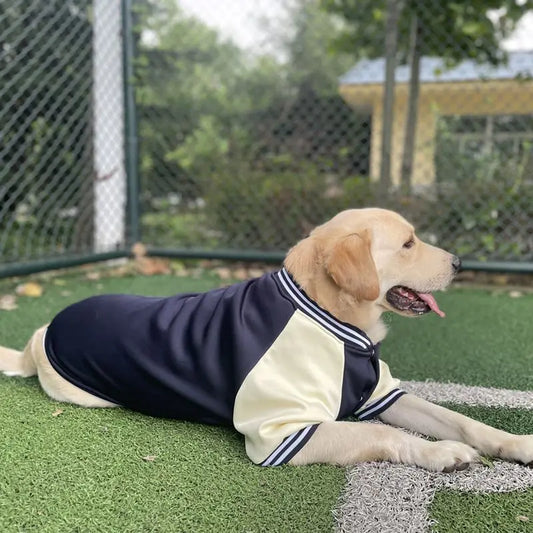 Baseball Jacket for Big Dogs M-7XL