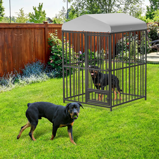Large Outdoor Dog Kennel