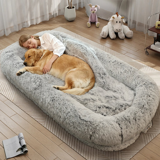 Human-Size Dog Bed for Large Dogs