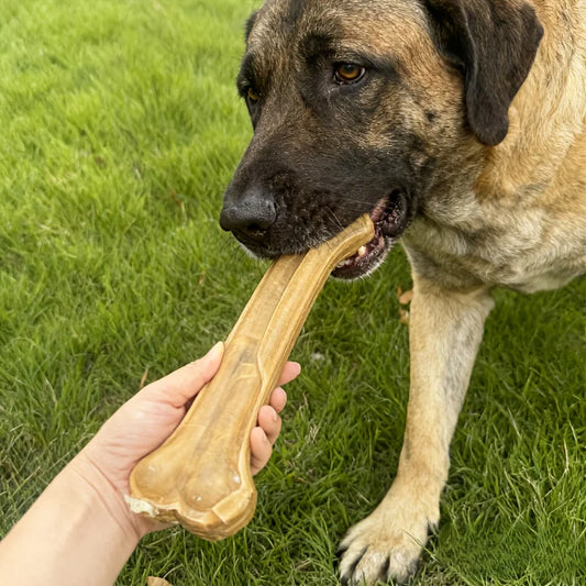 Large Dog Chew Bone