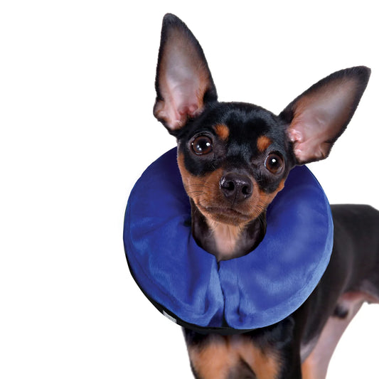 Inflatable Dog Recovery Cone Collar