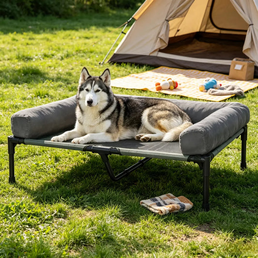 Elevated Indoor Outdoor Dog Bed L-2XL