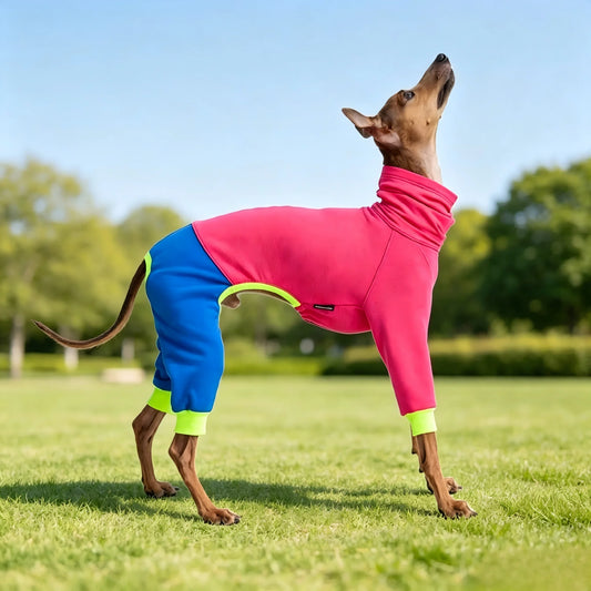 High Neck Fleece Jumpsuit for Large Dogs