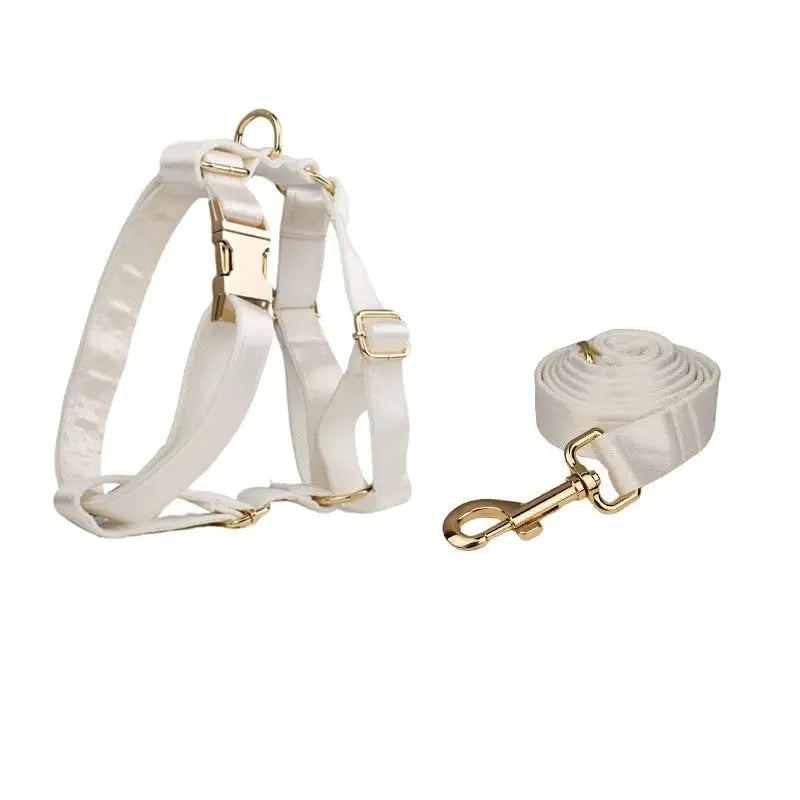 Personalized Dog Collar with Name Tag - view 11