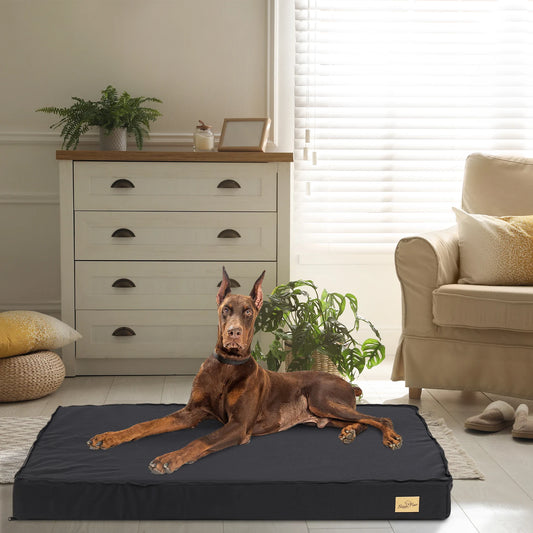 Orthopedic Dog Bed for Large Dogs