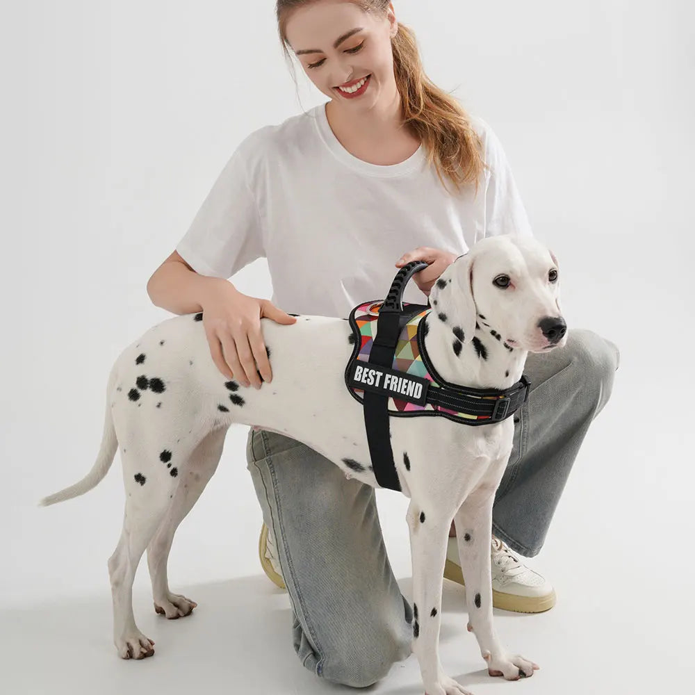 Customizable No Pull Dog Harness Vest - view 3
