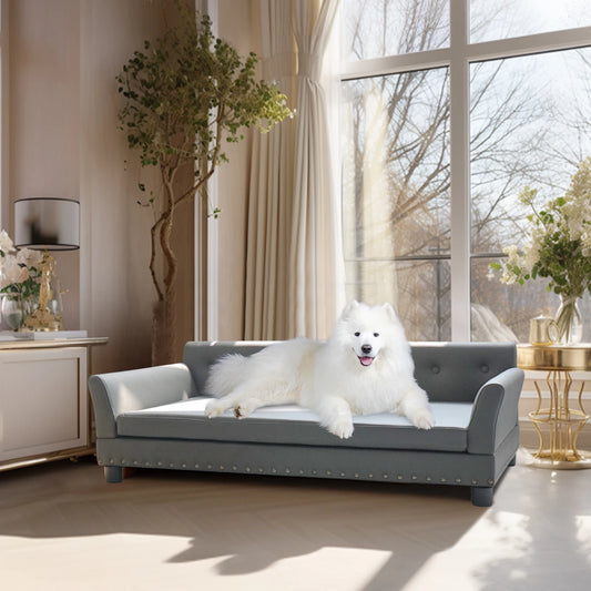 Elevated Leather Dog Sofa Bed